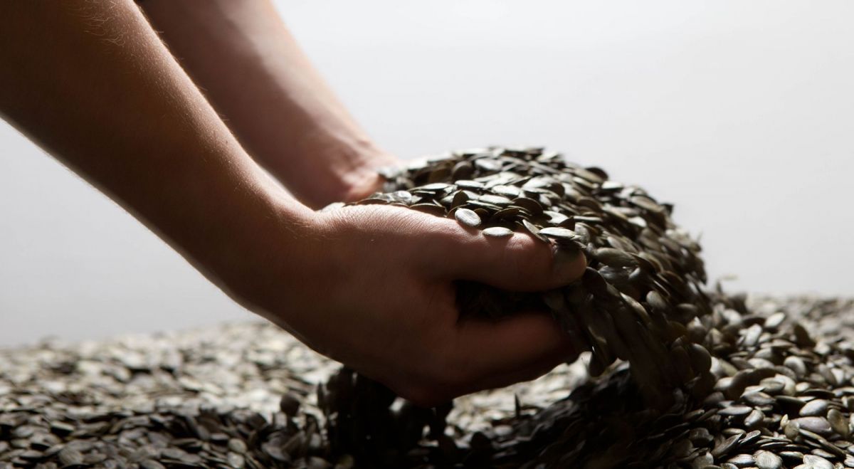 Pumpkin seeds